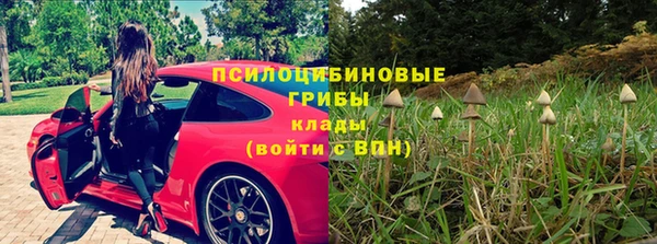 ешки Бородино