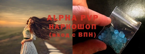 ешки Бородино