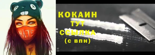 ешки Бородино