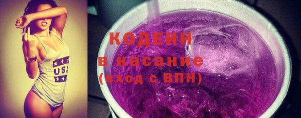 ешки Бородино