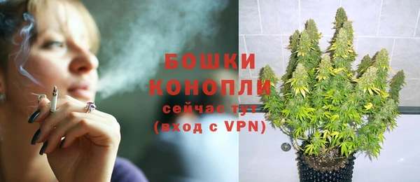 ешки Бородино