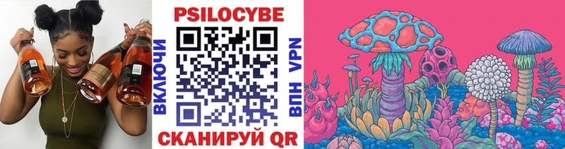 Купить Вытегра Галлюциногенные грибы Cubensis